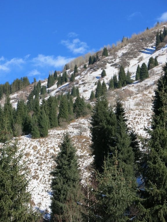 IMG_8537.JPG