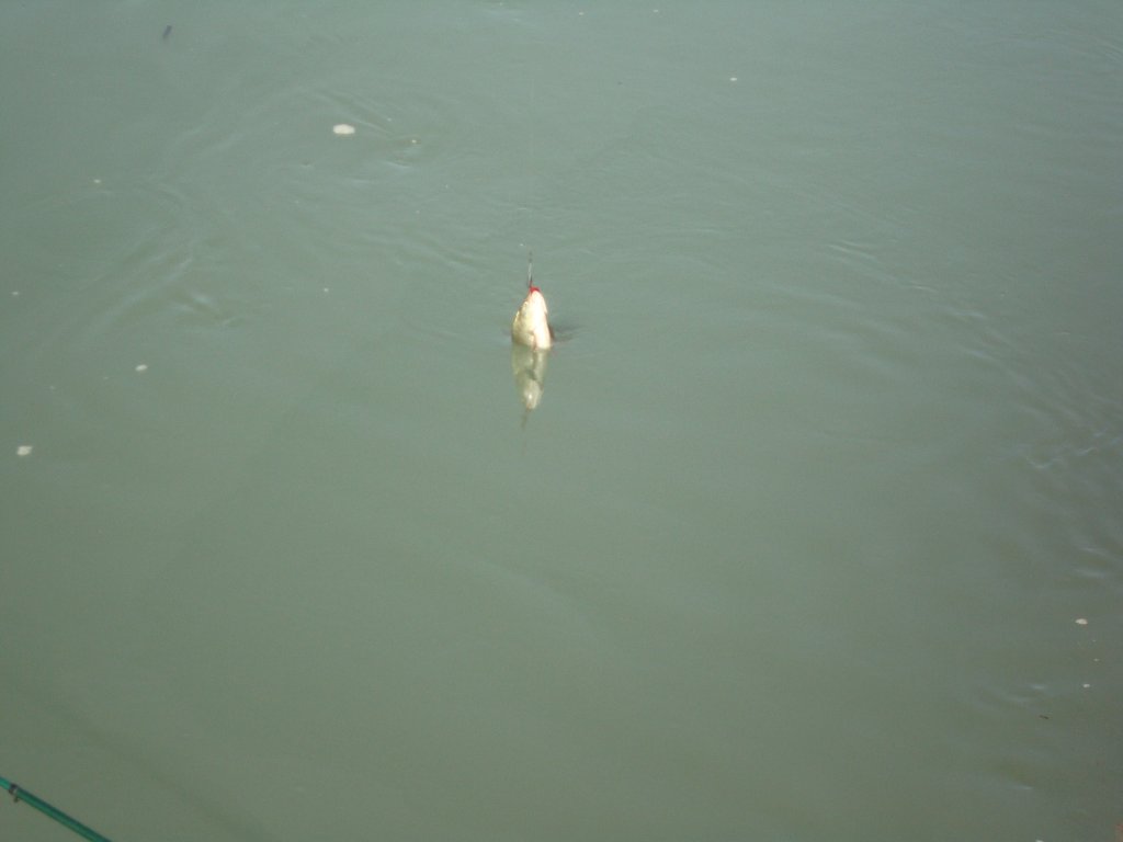 Осень 2013 019.jpg