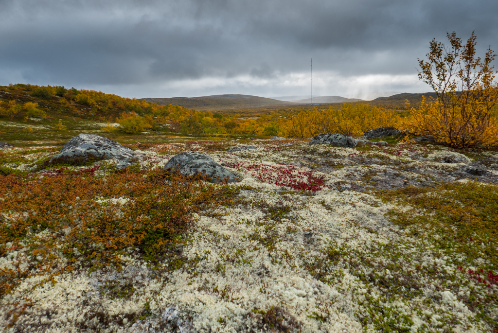 P1010060.jpg