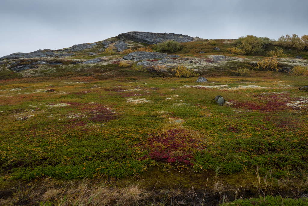 P1010195.jpg