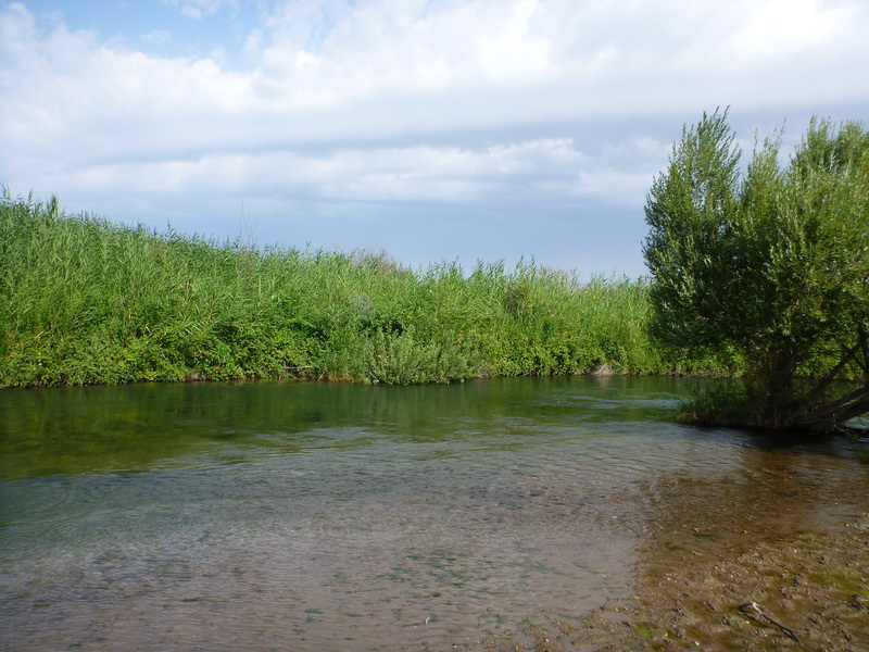P1050478.JPG
