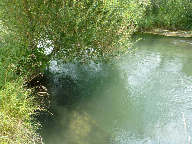 P1050574.JPG