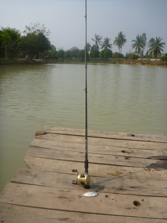 P1070056.JPG