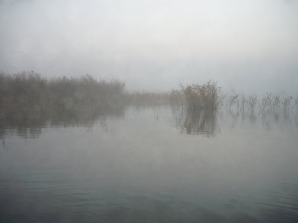 P1070677.JPG