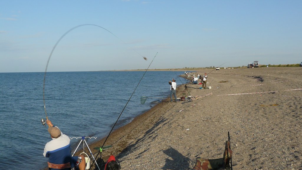 P1130660.JPG