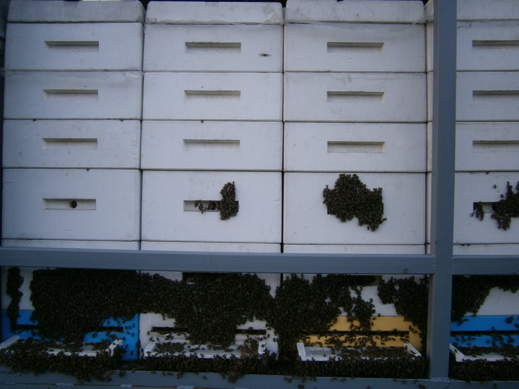 P8020222.JPG