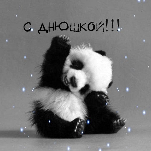 прикольные_2DWMsVPpR5U.jpg