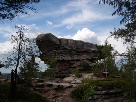 SL271783.JPG
