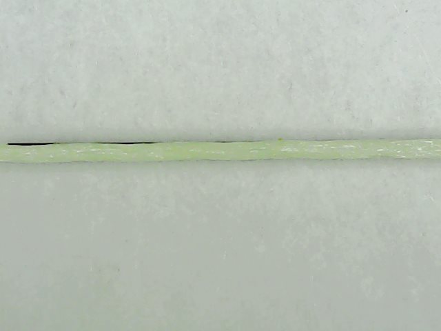 Sun Jun 09 19-43-06.jpg
