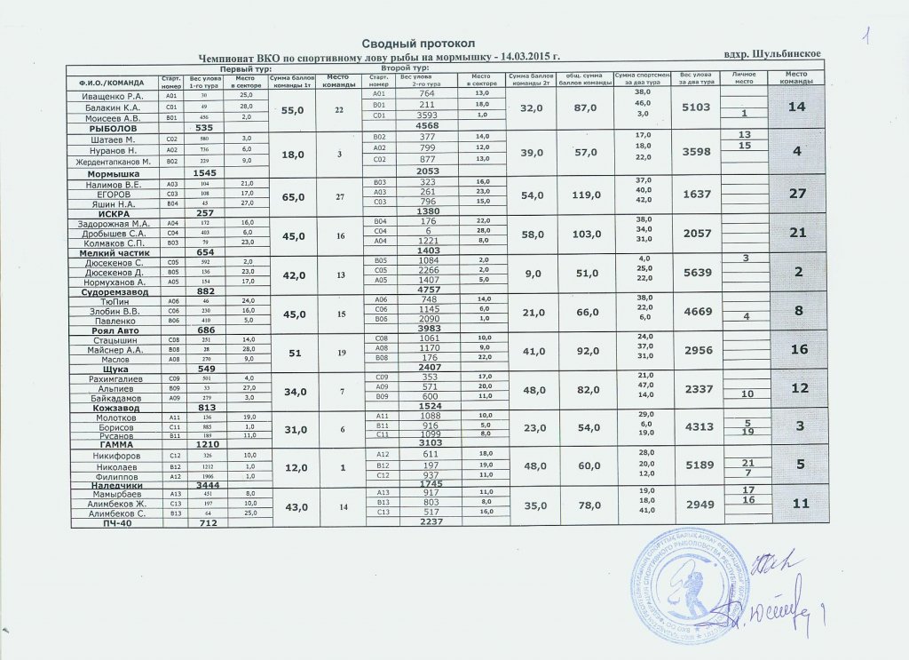 сводный (1).jpg