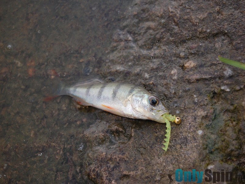 watermarked-foto_6.jpg