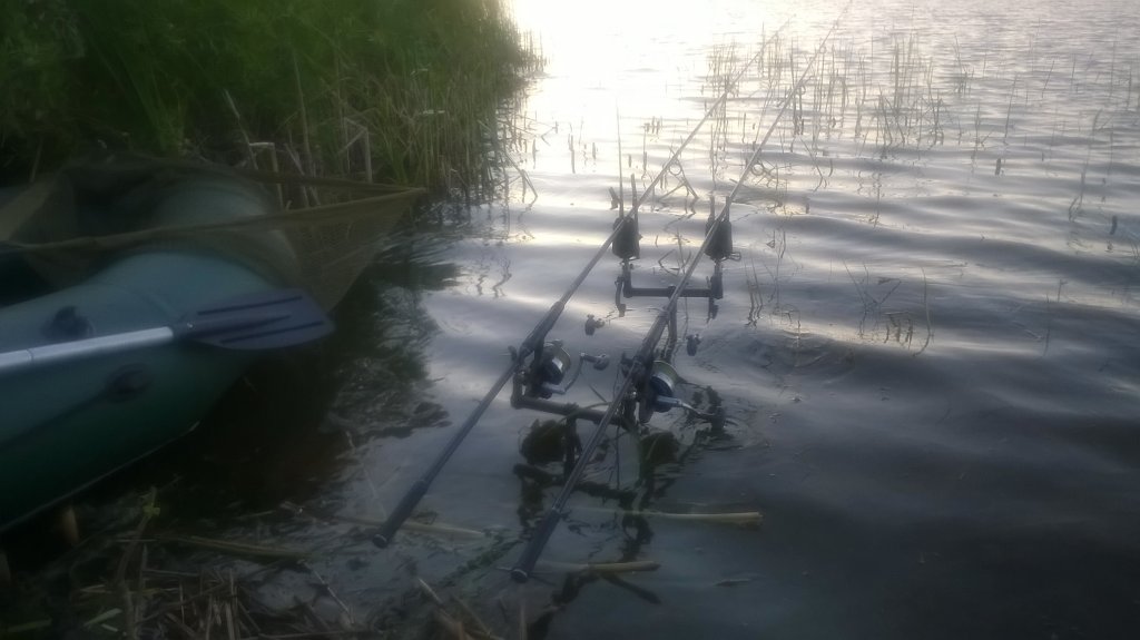 WP_20180708_001.jpg