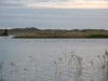 IMG_5955.JPG
