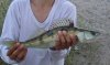 DSC00156.JPG