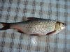 DSC01828.JPG
