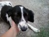 20130830_132757.jpg
