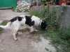 20130830_133142.jpg