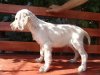 DSC08910.jpg