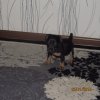 IMG_2406.JPG