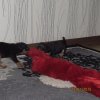 IMG_2431.JPG