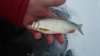 IMG_20160117_135250.jpg
