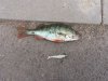 20160618_193754.jpg