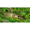 spider_pro_image_pike-500x500.jpg