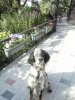 IMG-20161204-WA0008.jpg