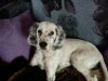 IMG-20170108-WA0000.jpg