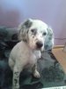 IMG-20170108-WA0001.jpg