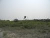 DSCN3677.JPG