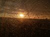 DSCF0348.JPG