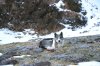 DSC_0208.JPG