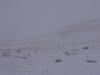 DSC02935.JPG