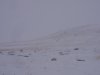 DSC02934.JPG