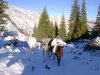 DSC02923.JPG