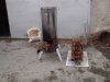 DSC03154.jpg
