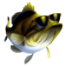 Kassen