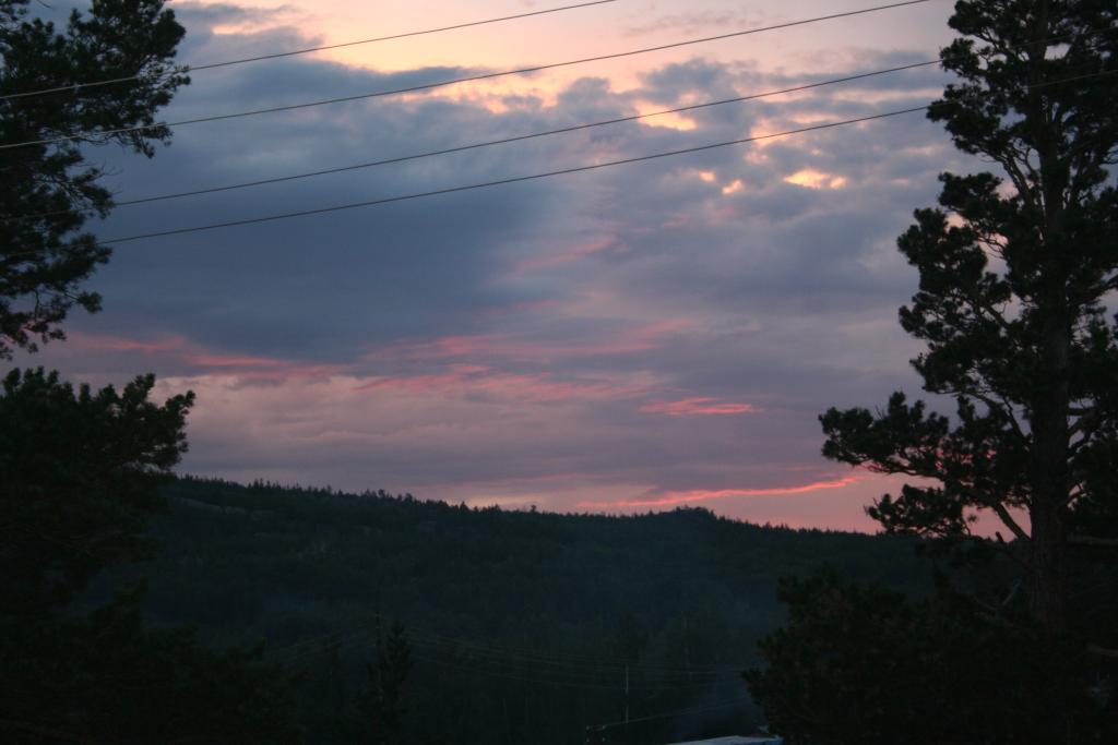 <img src="style_emoticons/<#EMO_DIR#>/sad.gif"...