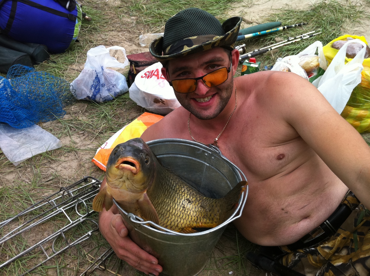 Сазан в ведре