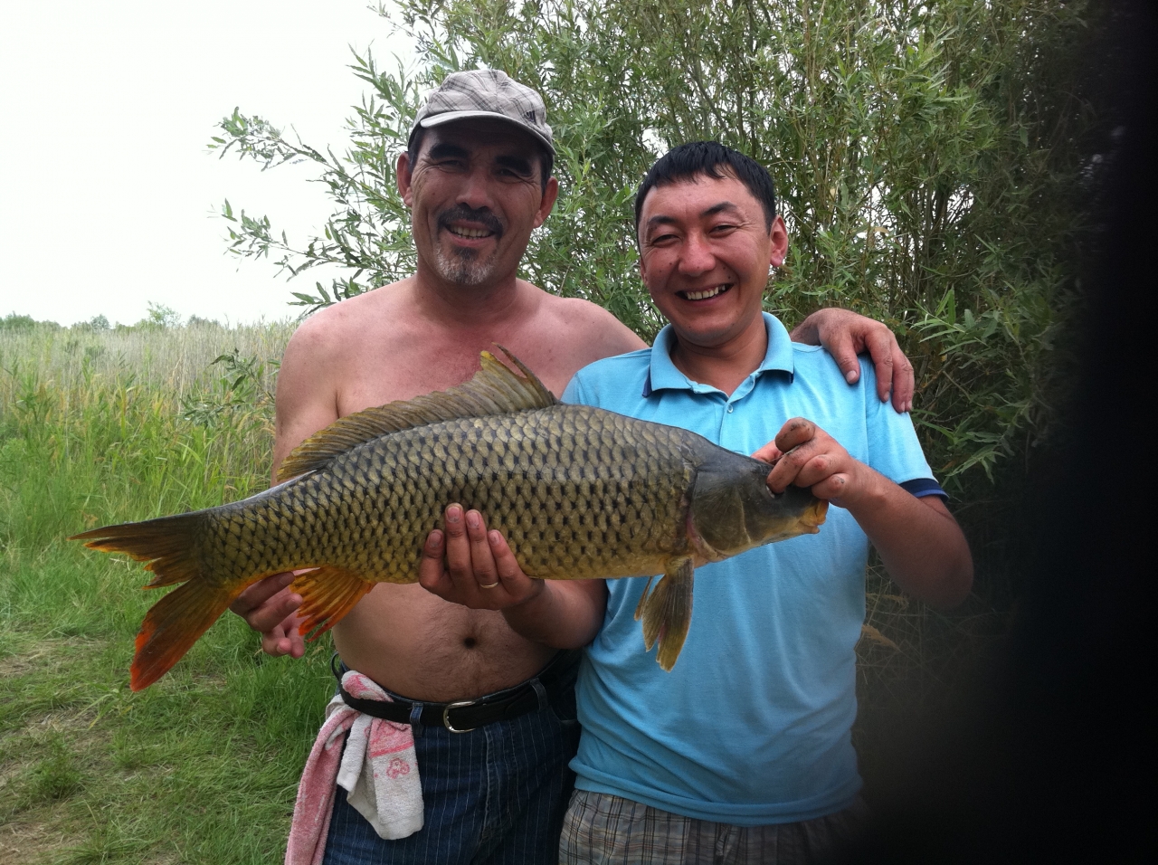 Трофей сазан