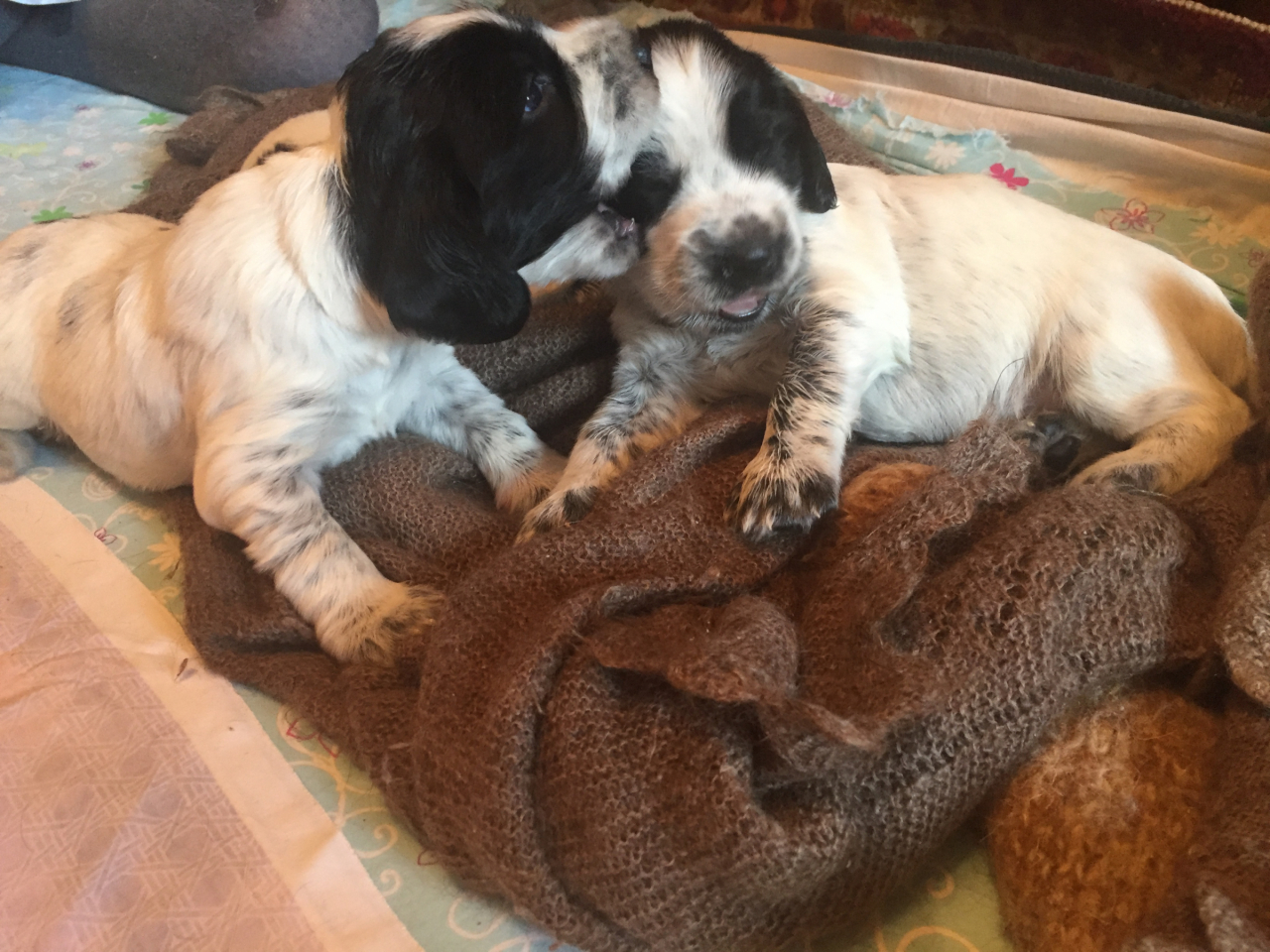 Игры-наше все!