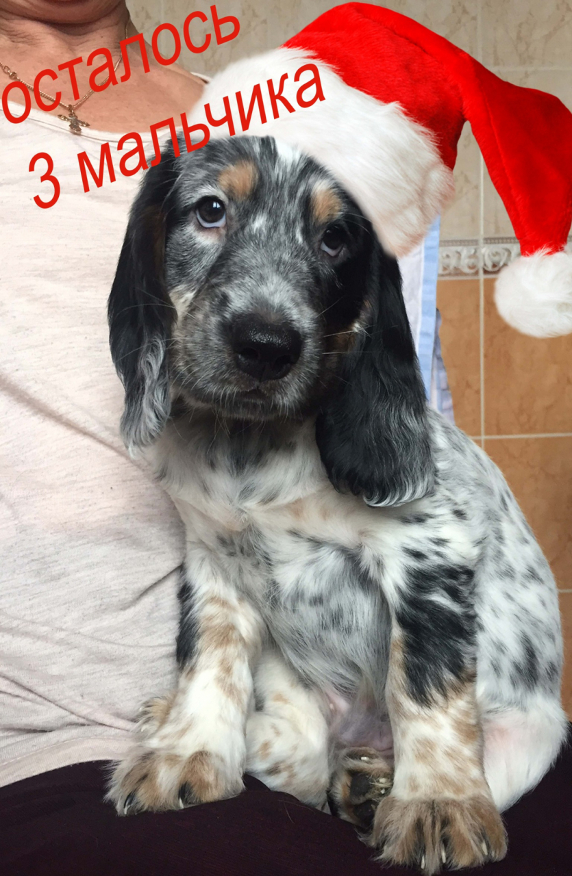 Разъезжаемся по новым домам!