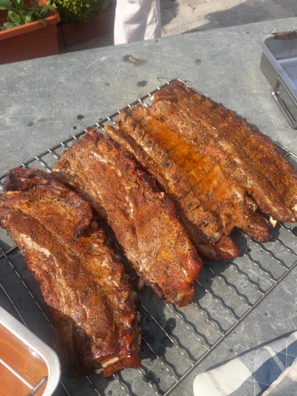 Коптить можно все с Польскими коптильнями Borniak!