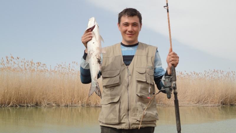 Жерех балхаш