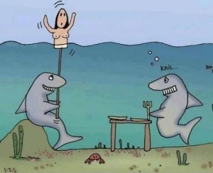 11239