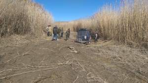 Приехали