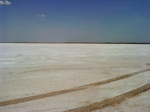 2005