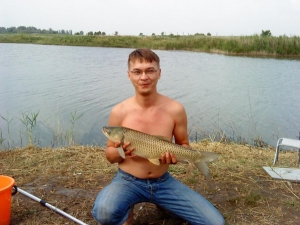 2009