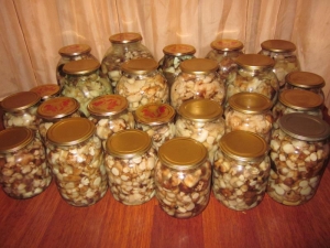 Маринованные грибы